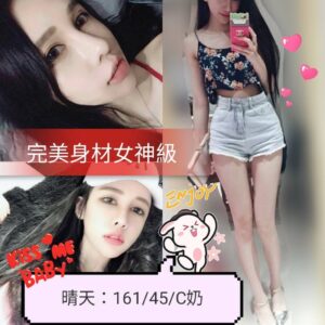 <strong>地區:台北外約妹<hr>晴天<hr>標籤:台北找外約<strong>