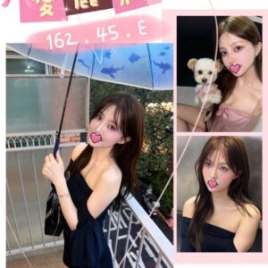 <strong>地區:台北買春<hr>愛麗絲<hr>標籤:台北應召女<strong>