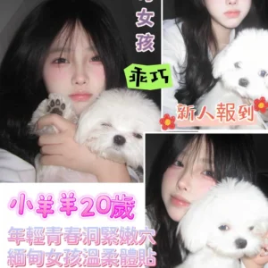 <strong>地區:桃園外約推介<hr>小羊羊<hr>標籤:桃園茶單<strong>