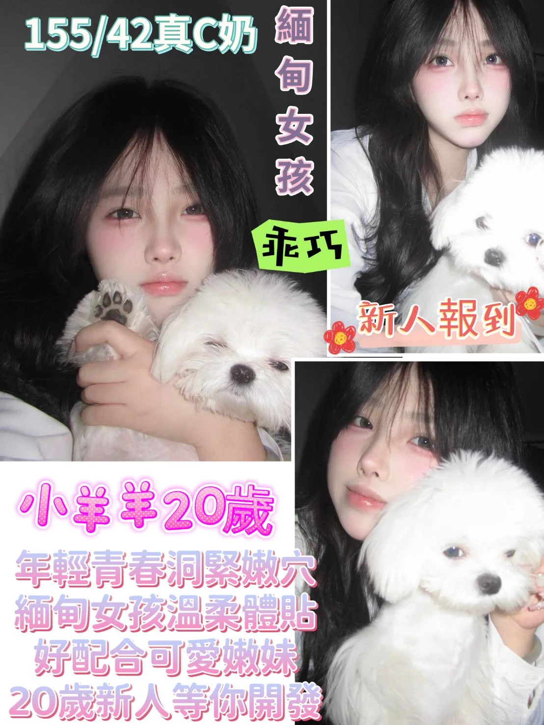 地區:桃園外約推介小羊羊標籤:桃園茶單