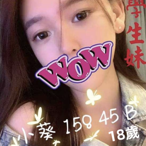 <strong>台中十八歲學生<hr>小葵<hr>標籤:台中外約十八歲<strong>