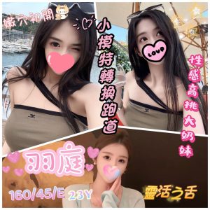 <strong>台北全套外送茶<hr>羽庭<hr>標籤:台北全套外賣<strong>
