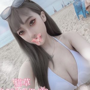 <strong>台北火車站約砲<hr>貓草<hr>標籤:台北外約<strong>