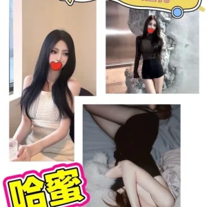 <strong>台北好茶推介<hr>哈蜜<hr>標籤:台北專業外約<strong>