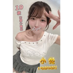 <strong>台北茶莊TG<hr>小兔<hr>標籤:台北外約TG<strong>