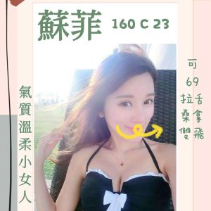 <strong>台南外送茶 <hr>蘇菲<hr>標籤:台南飯店外送茶<strong>